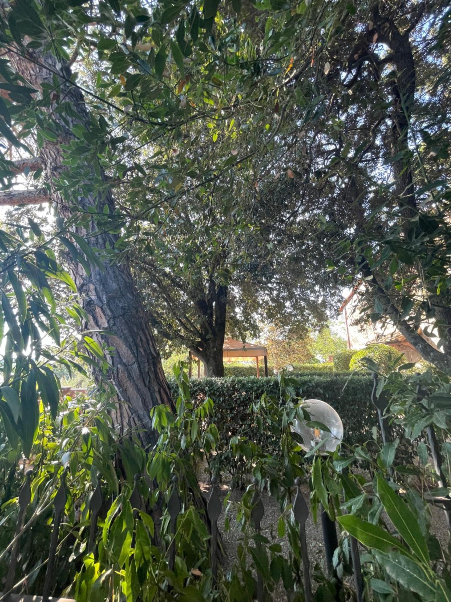 Intero Appartamento Con Private Pool E Jacuzzi Podere Settefrati Montaione Bagian luar foto